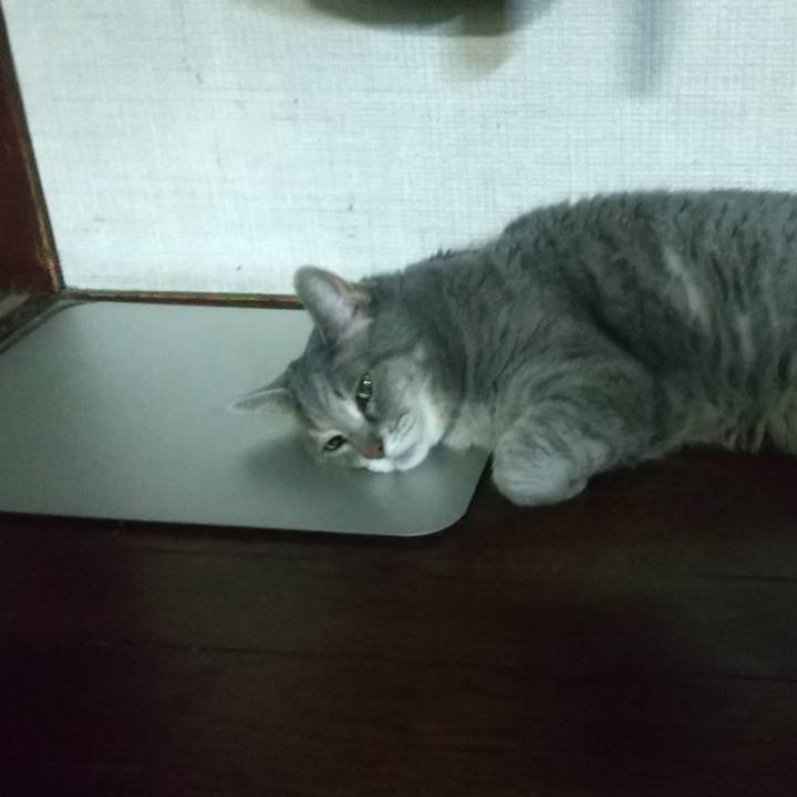 13b36b06 5bcd 4bf4 9947 b2bf7cda09dd 1627476900216