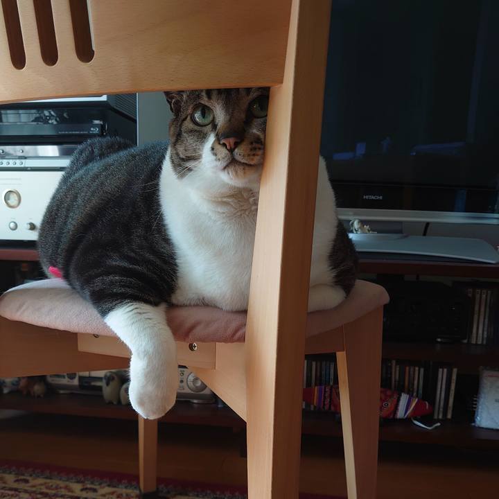 13b3bea8 e6ff 438d bd72 a8ae228600d0 1590813321069