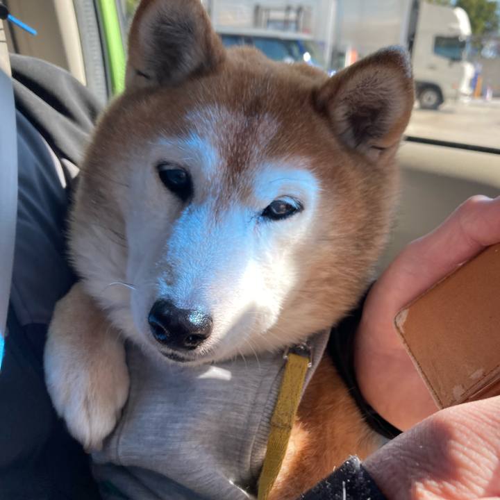 13b3c84d 55c8 434d 9006 989b7faac240 1772943682379