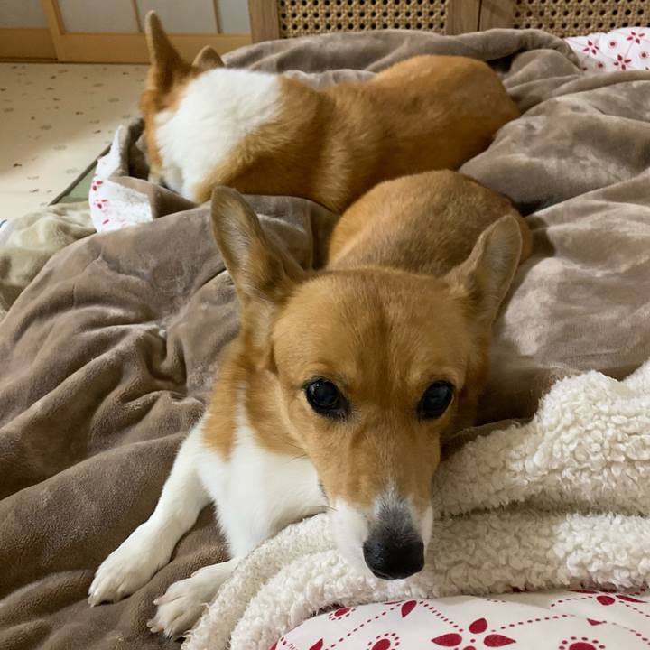 13b40f53 0e40 477f 9c28 97fc697a447e 1665055682486