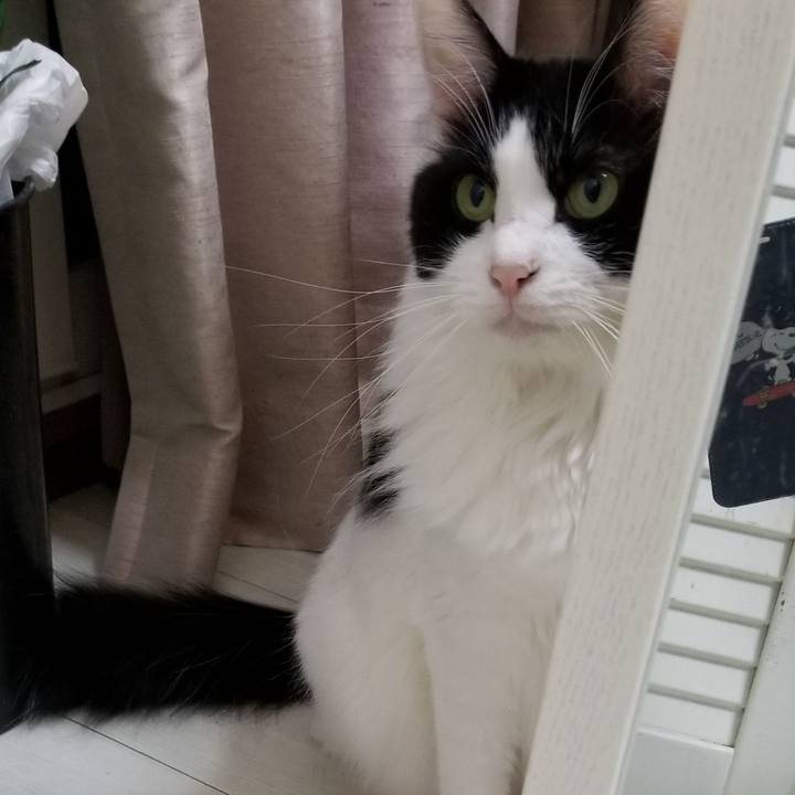 13b41c93 a912 4a12 9400 09989585deb3 1573336903194