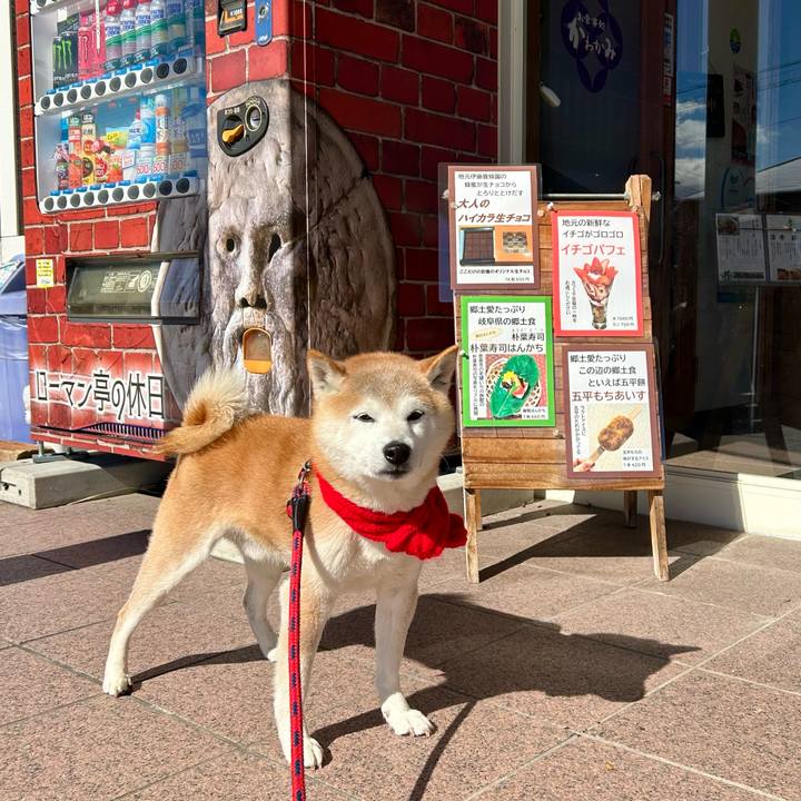 13b4ccf9 da8c 469d 8785 fff56ed26d84 1739265317579