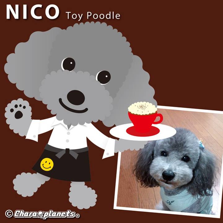 13b53157 9803 499d 95fb 26e4be186b5e 1564100859259