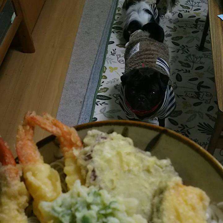 13b53b68 0a78 428f 9faa 96289f751d01 1546227545978