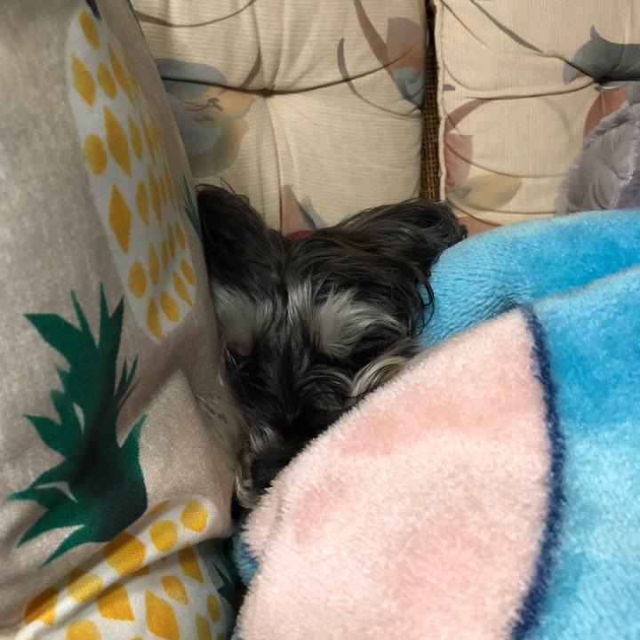 13b54009 9ab4 478c afdd 480665bbbee5 1520770305947