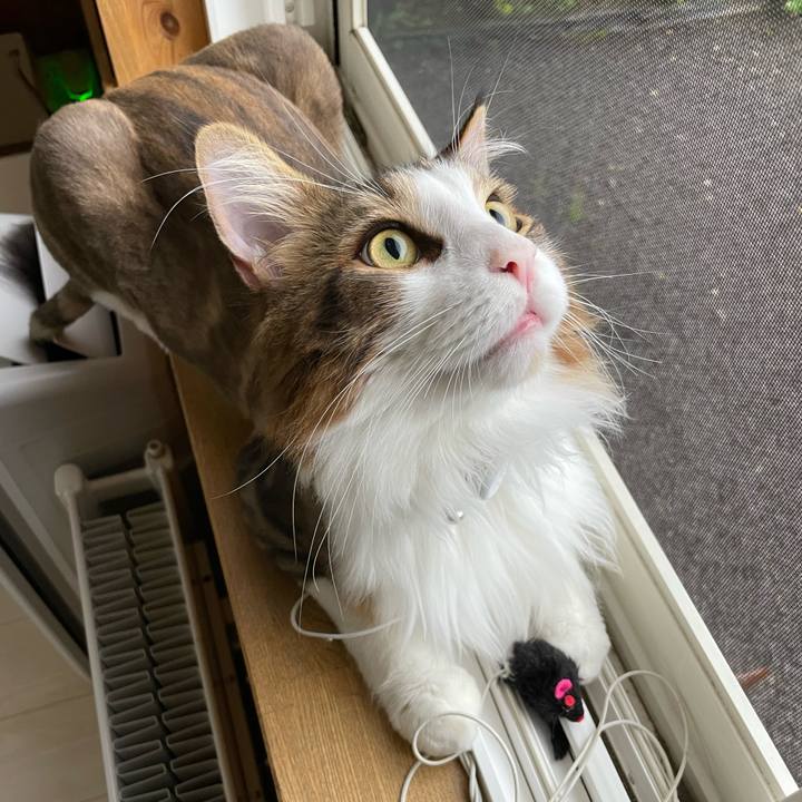 13b54f0e 3fb4 4621 bd2a e66b642ea130 1659473340577