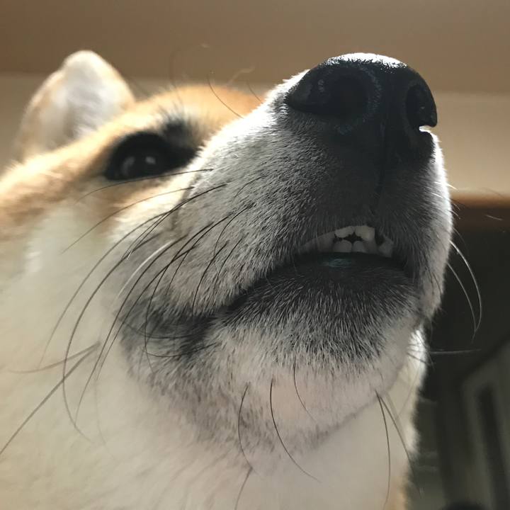 13b56d97 f15b 4178 80a5 ac5bb645e8a5 1509865945173