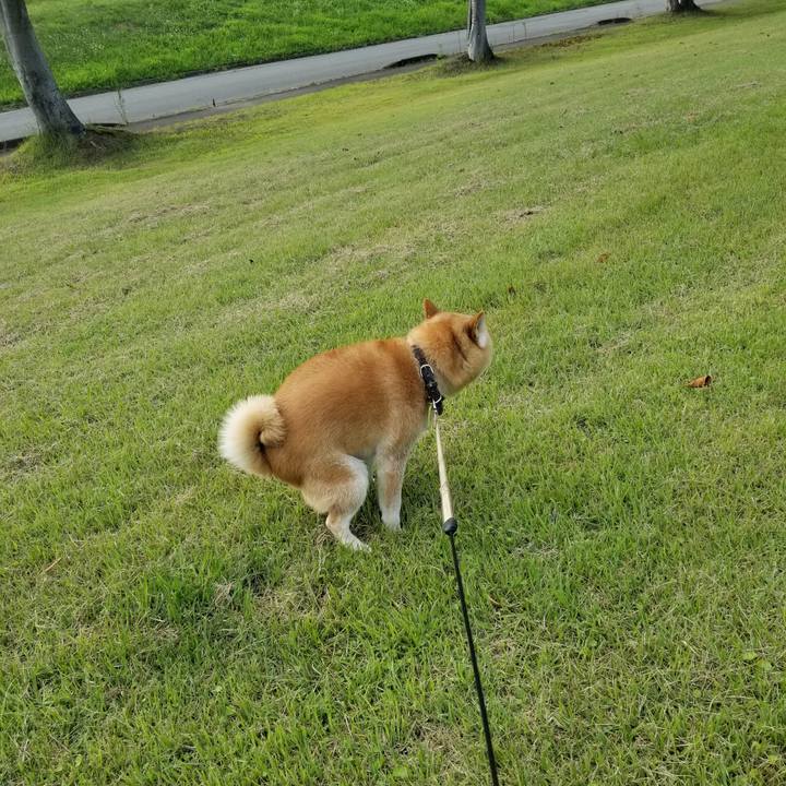 13b57007 e807 4faa afbc b8392ff2e2ce 1658736233346