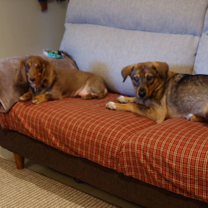 13b57608 16c2 420a 9c52 e17843f3a138 1685622392126