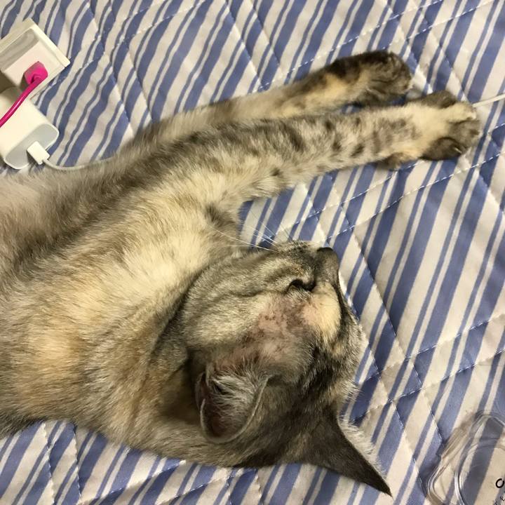 13b59c0d 37bc 4974 9832 d3088bb29075 1628855264405