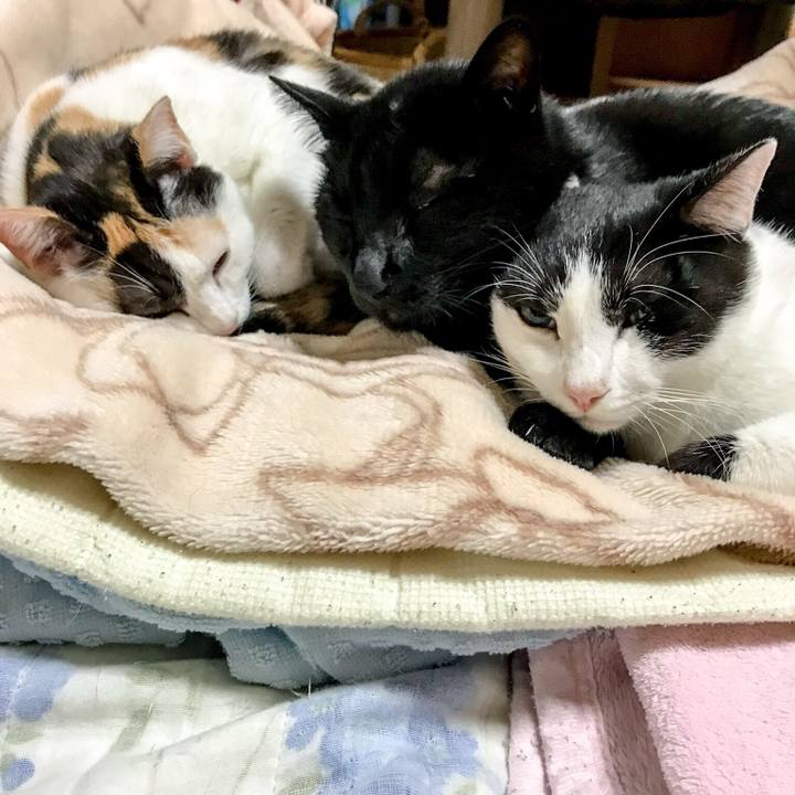 13b5e2d1 faf6 44bc 976d 24a260ec6708 1509693246292