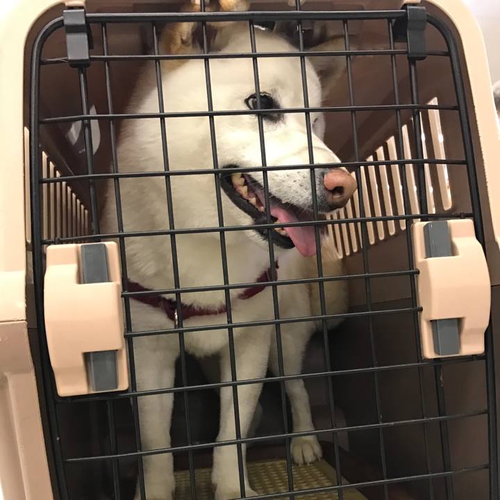 13b5f278 a296 4e42 a92d f0e5355ae29b 1525358800078