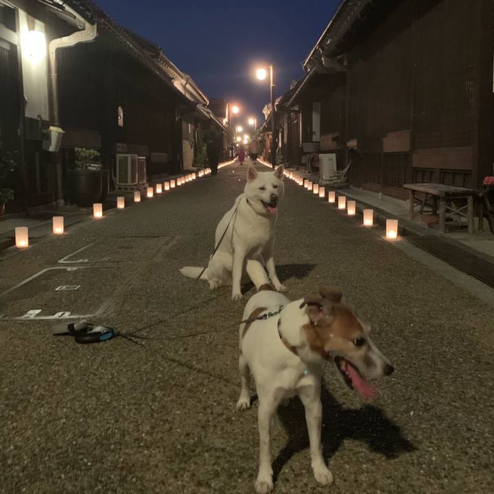 13b62d06 c886 41e5 80c5 e284eb478af3 1565440849867