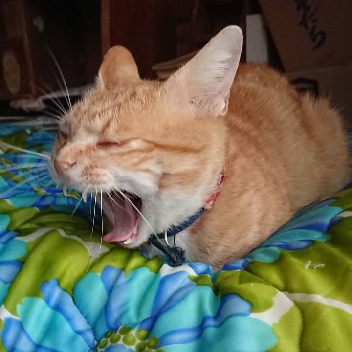 13b65cd8 79dc 4721 b4b7 4a97da9ae0ee 1560764602594