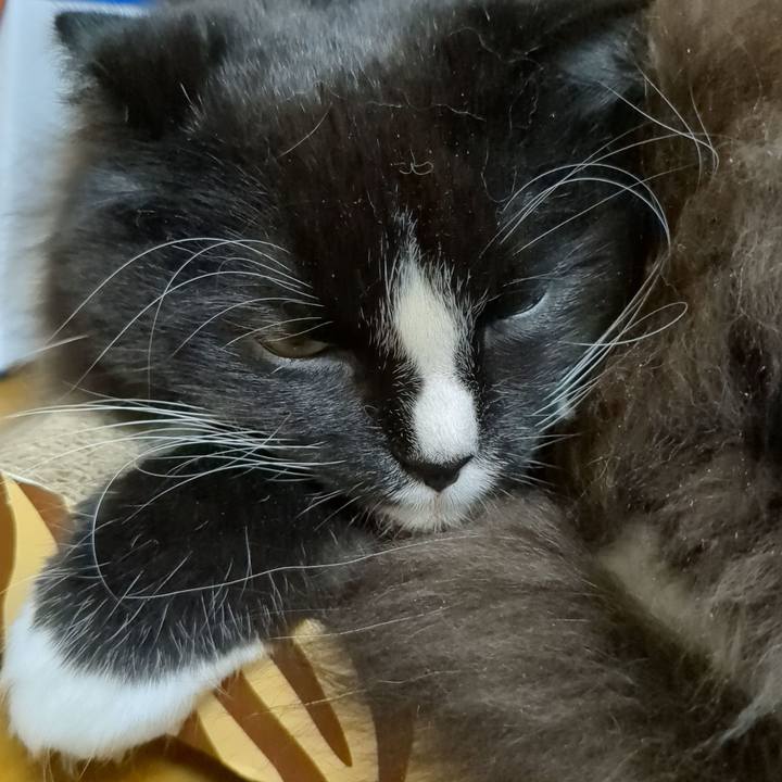 13b67121 71db 449c 9660 fa20160984dd 1670755693282