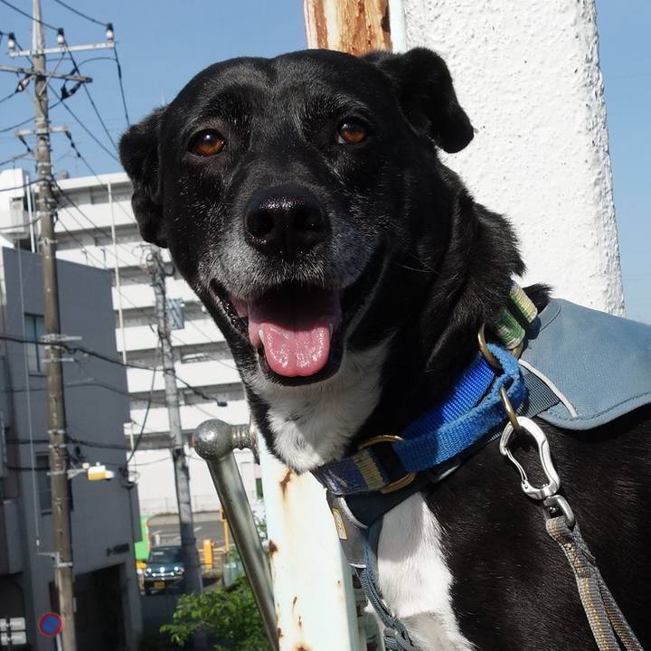 13b6c077 d620 4935 86b9 84fc3a2b8547 1715389921454