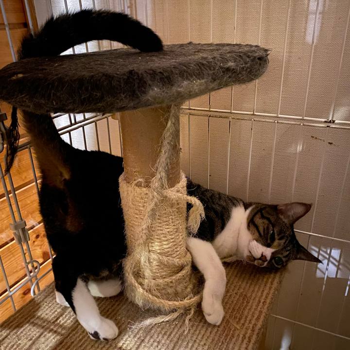 13b6e04c c5b8 4ab0 99c6 07222a6bff5f 1734169782251