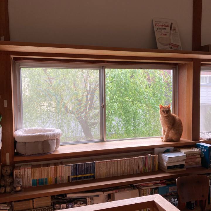 13b70b6c 39db 4223 aaab 7c2458628c1a 1680735473280