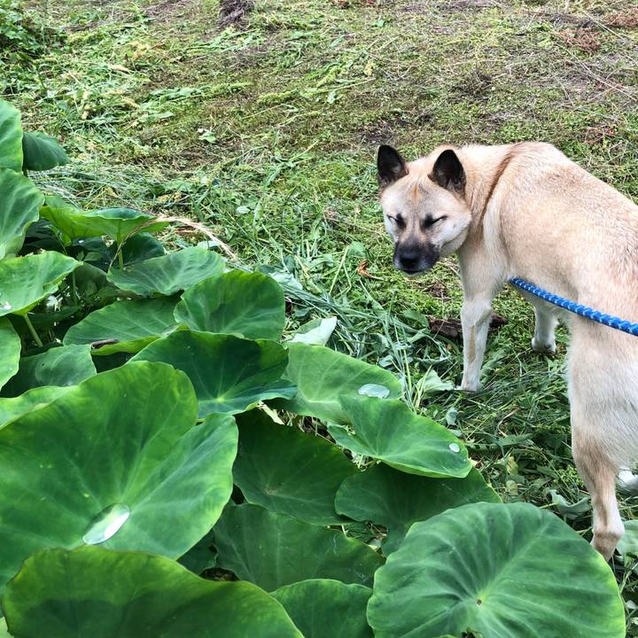 13b70ff3 7d00 4c59 bc23 1bb252e2f353 1528200708678