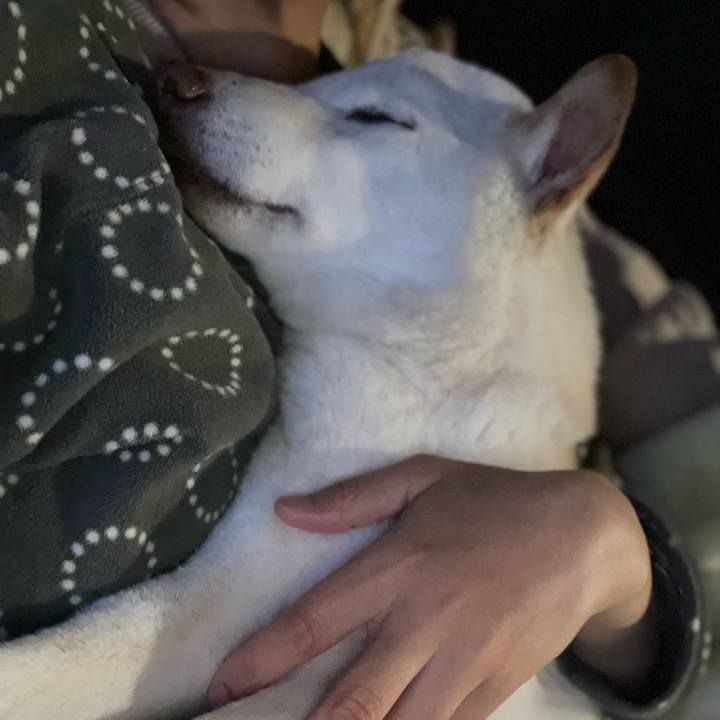 13b739aa d216 46ca 8529 f9c6ffc611c3 1648033328255