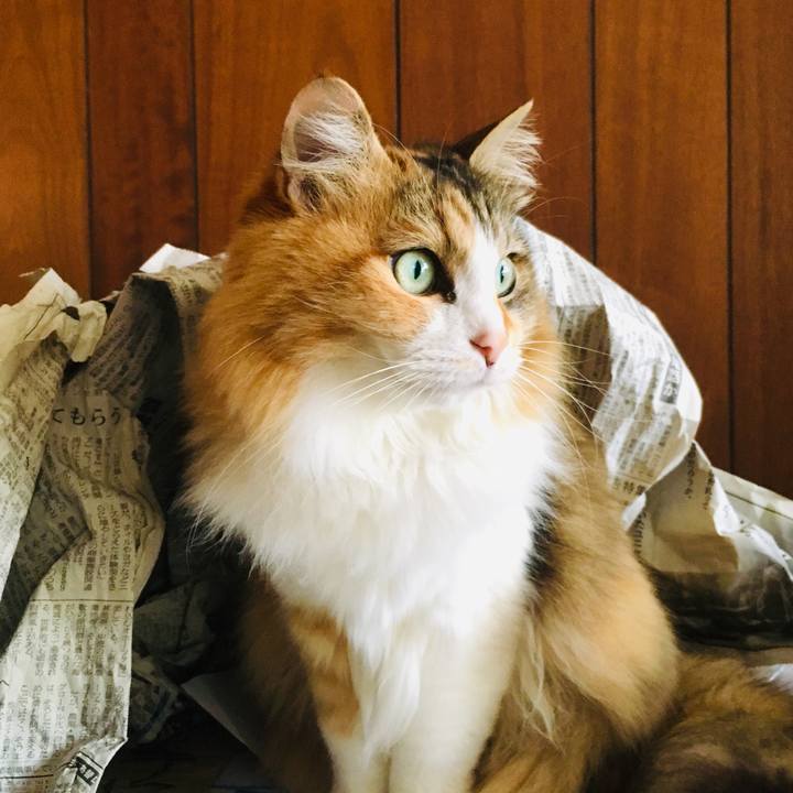 13b76a28 1278 4c79 87f2 e659deb9f852 1557784051026