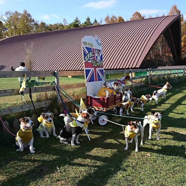 13b78733 57c2 4e02 b055 b411097f536f 1573360250204