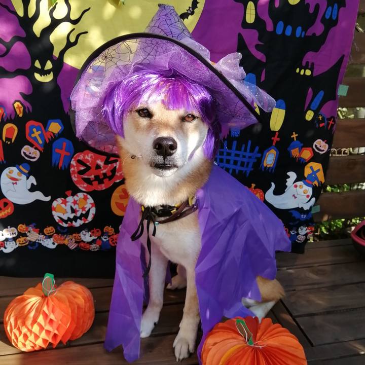 13b79962 cb70 4aa8 8ed9 4032804875d8 1604036742392