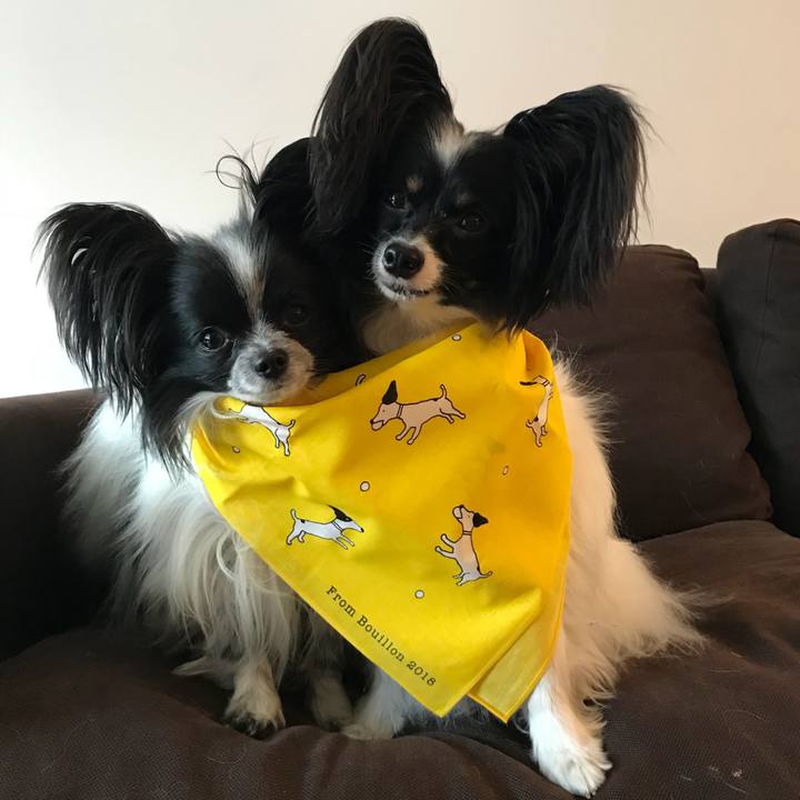 13b79d13 d553 41e2 918d 27f897d9e050 1524387328544