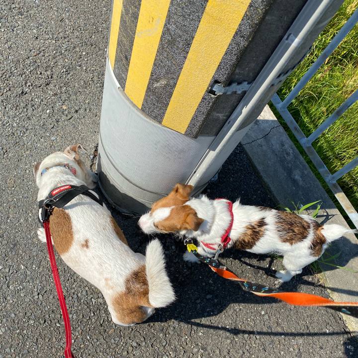 13b7c0a5 3c4a 4990 a2ff e55154b9d480 1622358469095