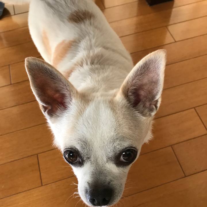 13b804d5 44e0 4fff 95a4 39b196e6e5bf 1507899832478