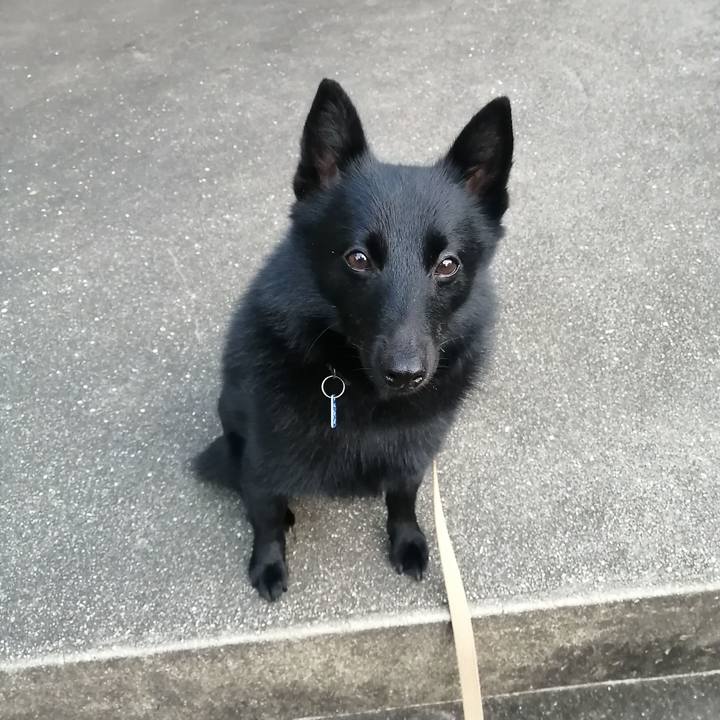 13b8318f 7e01 459d bef2 5629f583f04e 1631740532734