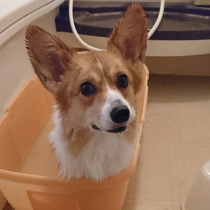 13b87baa 46aa 49f0 9858 af4b1bef755f 1534761656139