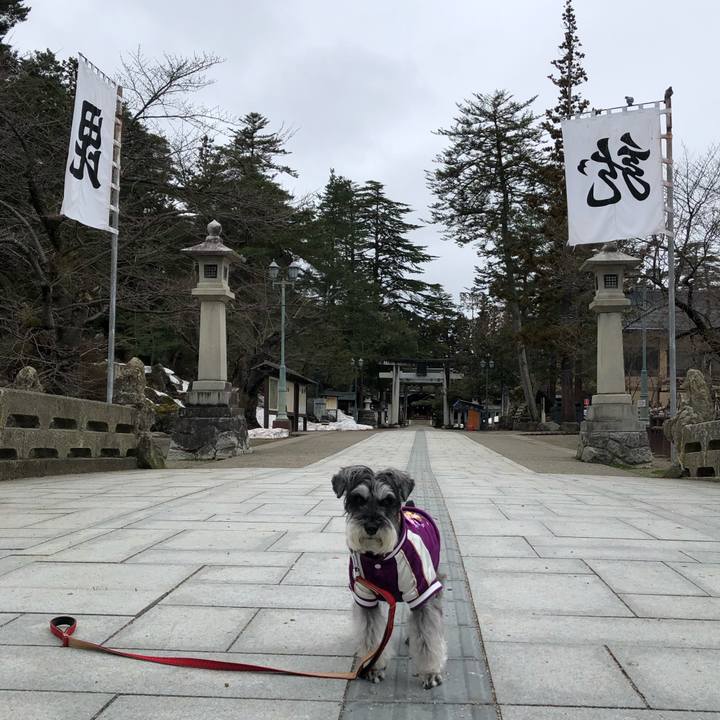 13b8d0e7 53bb 4246 86c9 752b978721f7 1679827233400