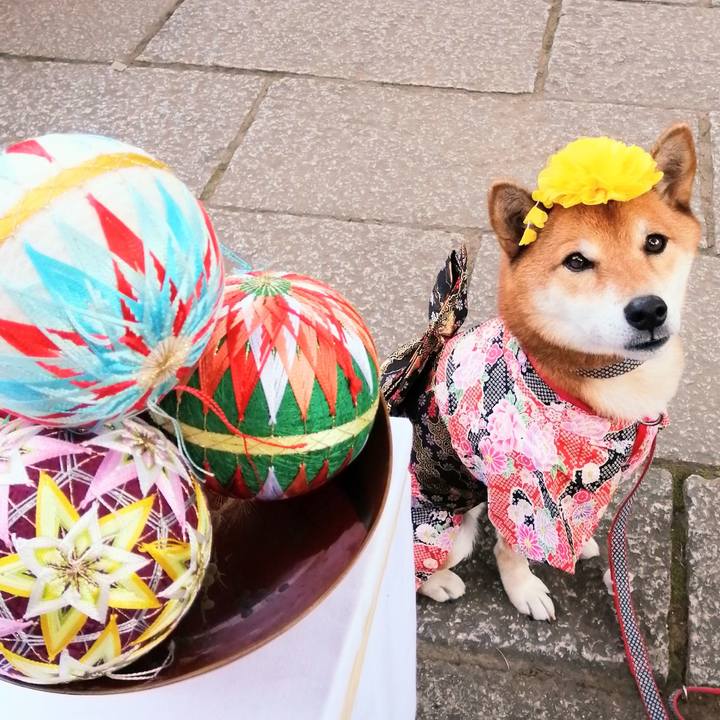 13b8f91f e4a1 4268 b0fa 21440ad606aa 1605425761576