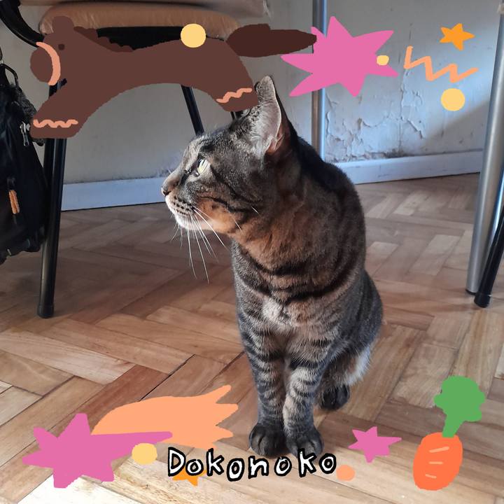 13b92073 2138 41ee a2bf a3090a738e15 1771984090967