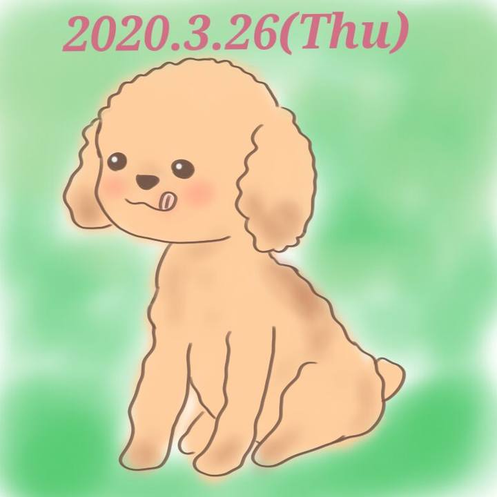13b94959 6d2f 4732 8ec0 73c9dd677421 1585232819771