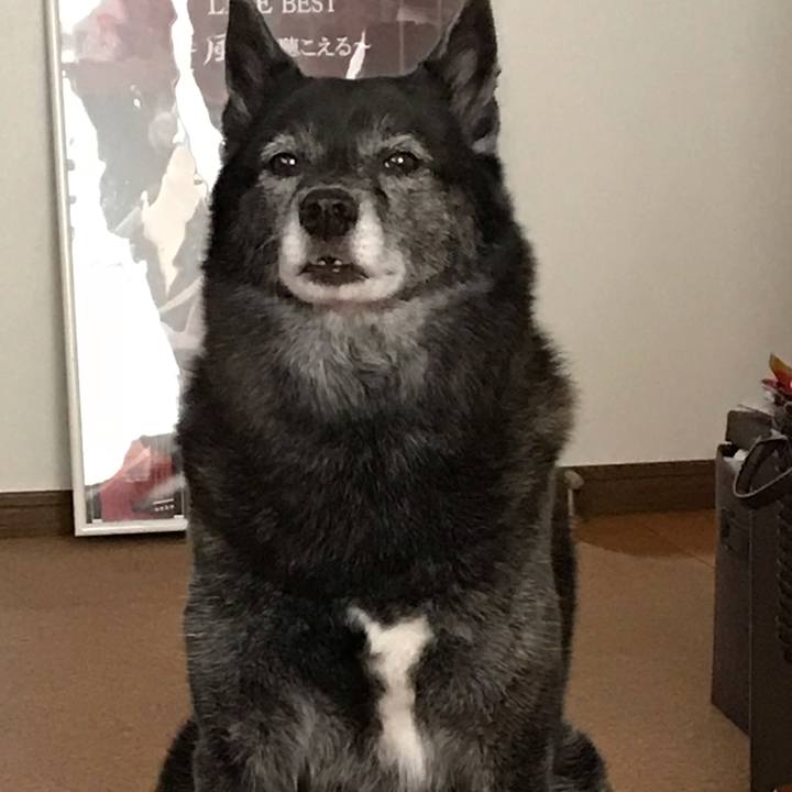 13b95f83 7ad4 4901 a931 61e489919db1 1539907953429