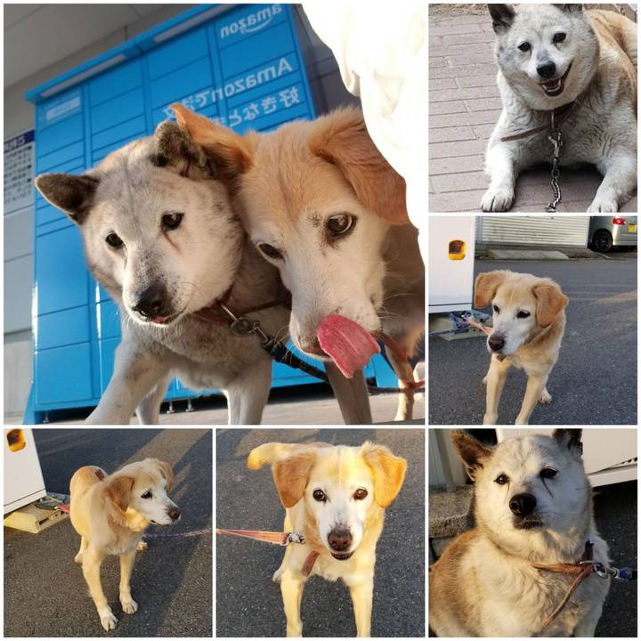 13b97e21 64d6 4aa4 a1d4 e13b989867bf 1750822035521