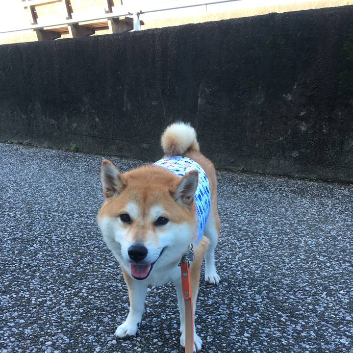 13ba0399 74df 4b2b b35e 937a872415df 1538797049880