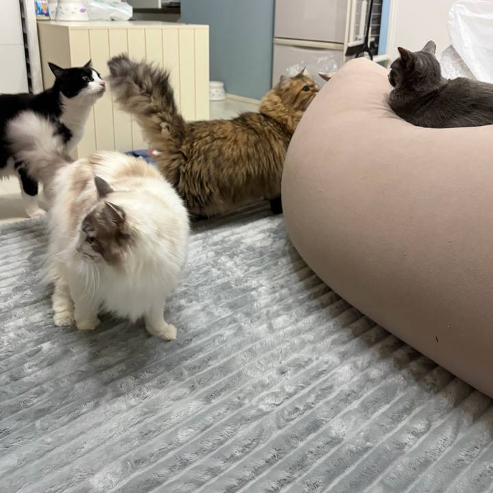 13ba0511 2675 4a98 b618 6a7cc0d2ed6a 1766929605783