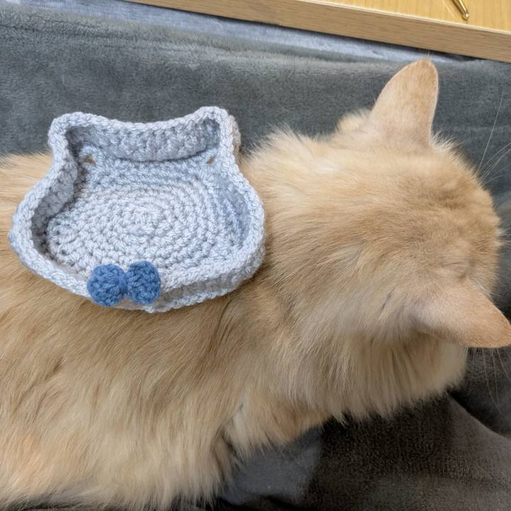 13ba3976 3508 435e 9c47 76a878d4aef6 1769671741690