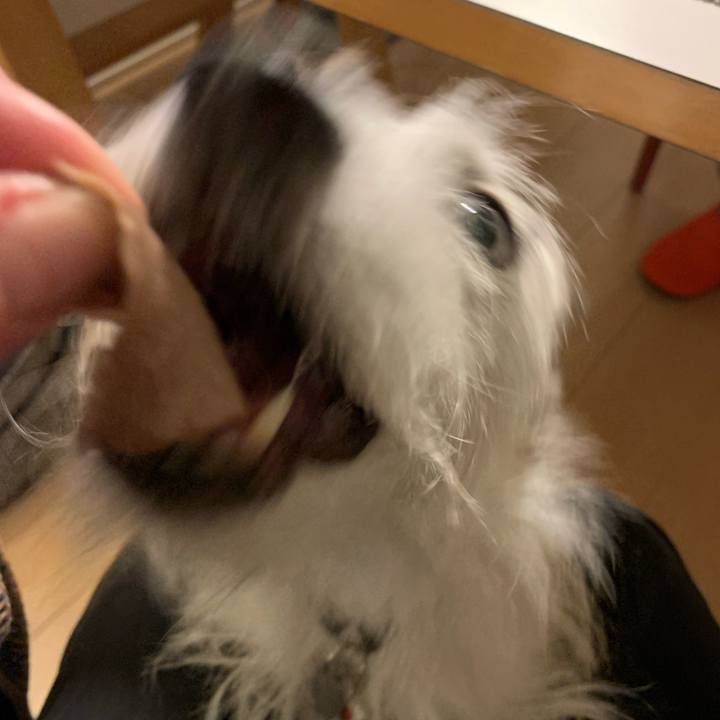 13ba7f75 6076 4d54 a3c2 c786a773336d 1673693734374