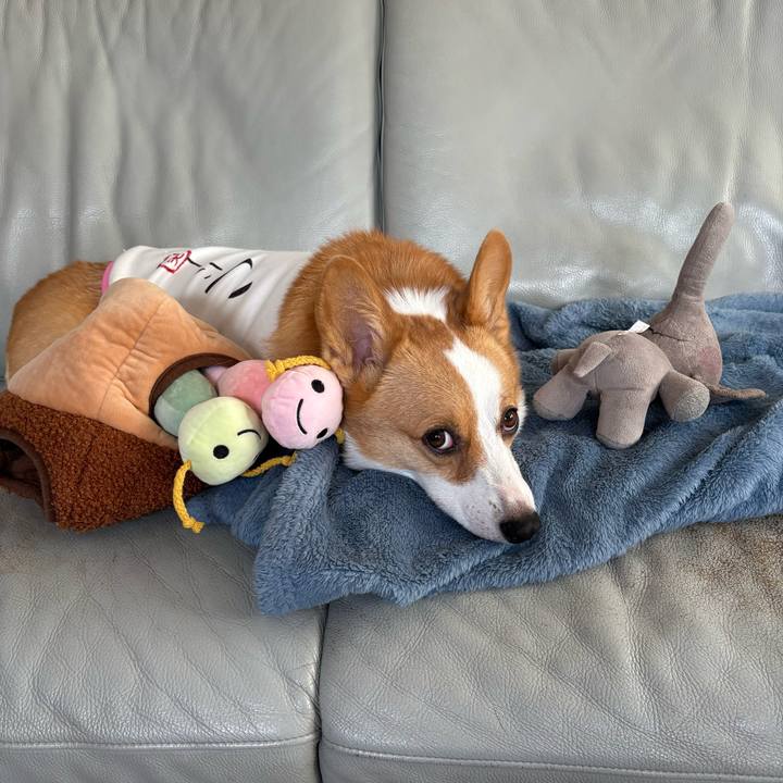 13baa1bf 4c6e 4245 92c9 c4baefcd064b 1772850561538