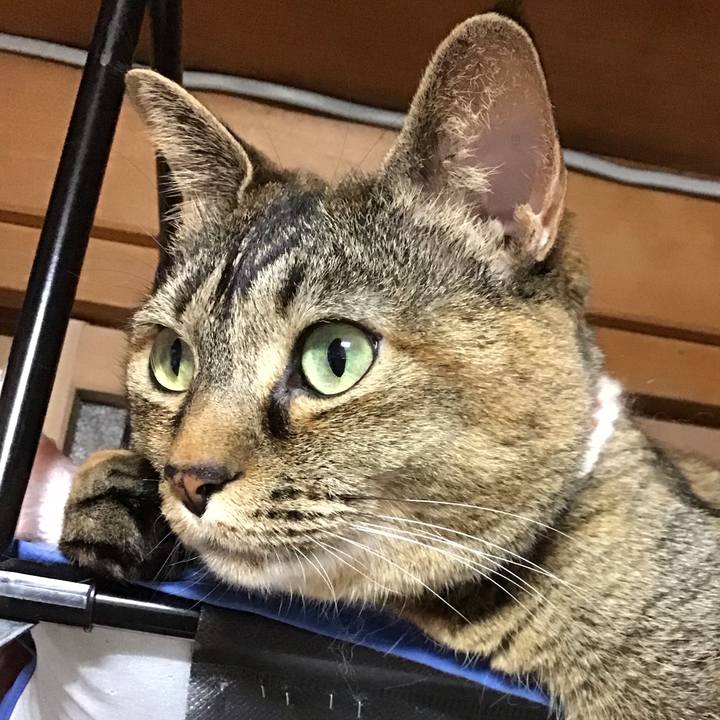 13baac44 9eab 4b50 92d1 eb7a73e741d3 1714295940349