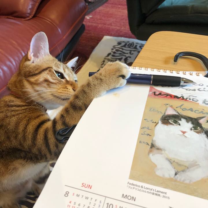 13bad477 a039 4cda a86d 4d221422a3fb 1568248656075