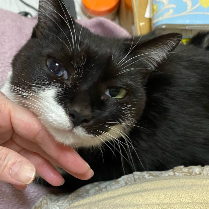 13bb0886 df37 49d6 9d04 72337247da5a 1642051074092