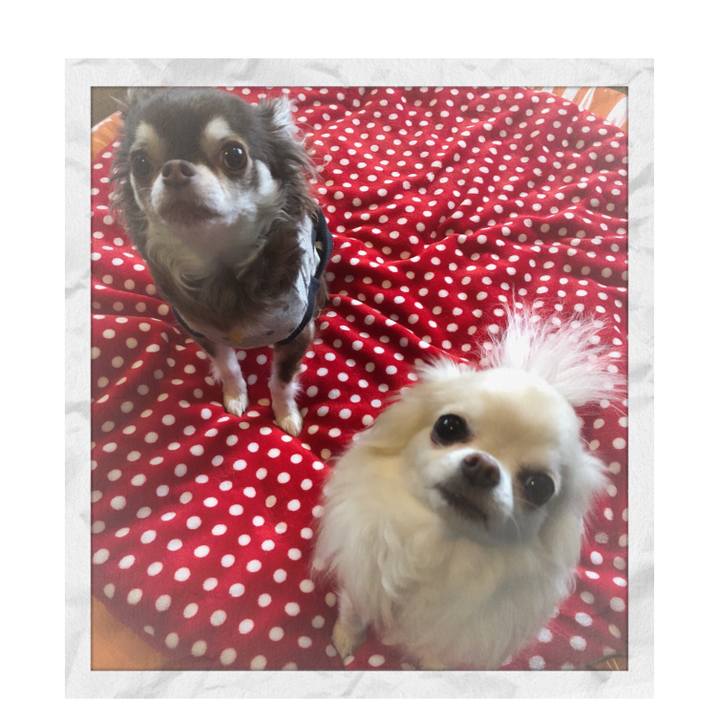 13bb61f6 3b71 45e0 802c 0a9ce7c2ee72 1521633400899