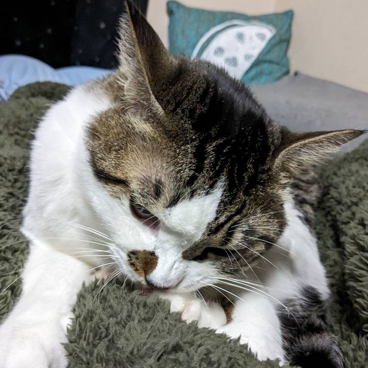 13bb6e31 4dd4 4f50 a1d1 cd2c7079ba7f 1697985932313