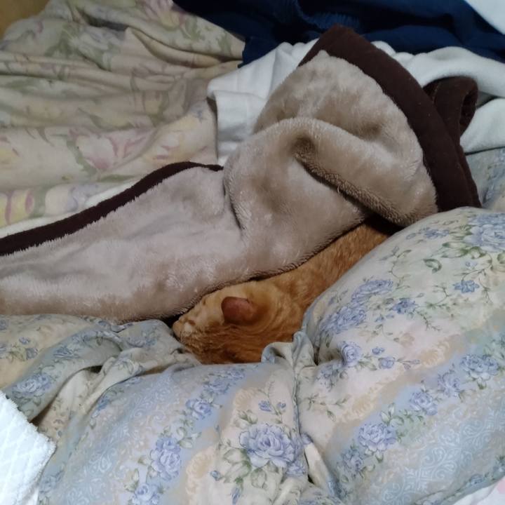 13bb827d aad5 46df 8a5f 5e946bfcaea9 1712873268865