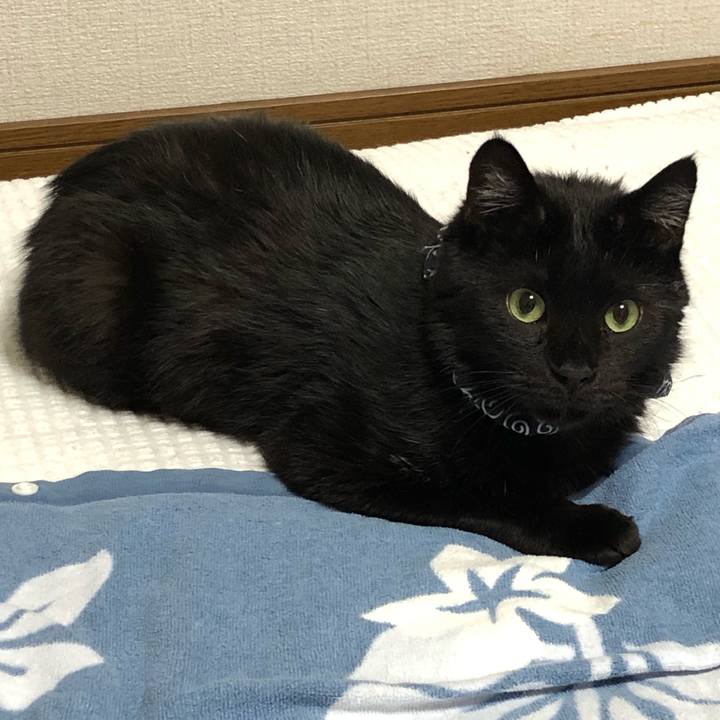 13bb9bde c87b 4296 b712 821c70c3cf5b 1557403007291